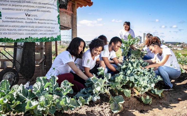 Educação e cidadania